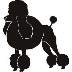 236x236 Standard Poodle Silhouette (Black With Fancy Haircut) By Jenn