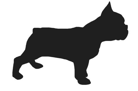 474x315 Details About French Bulldog Silhouette Sticker, Vinyl Decal, Dog