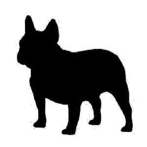 300x300 French Bulldog