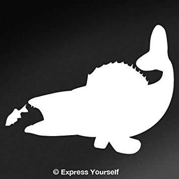 355x355 Walleye Bite (White