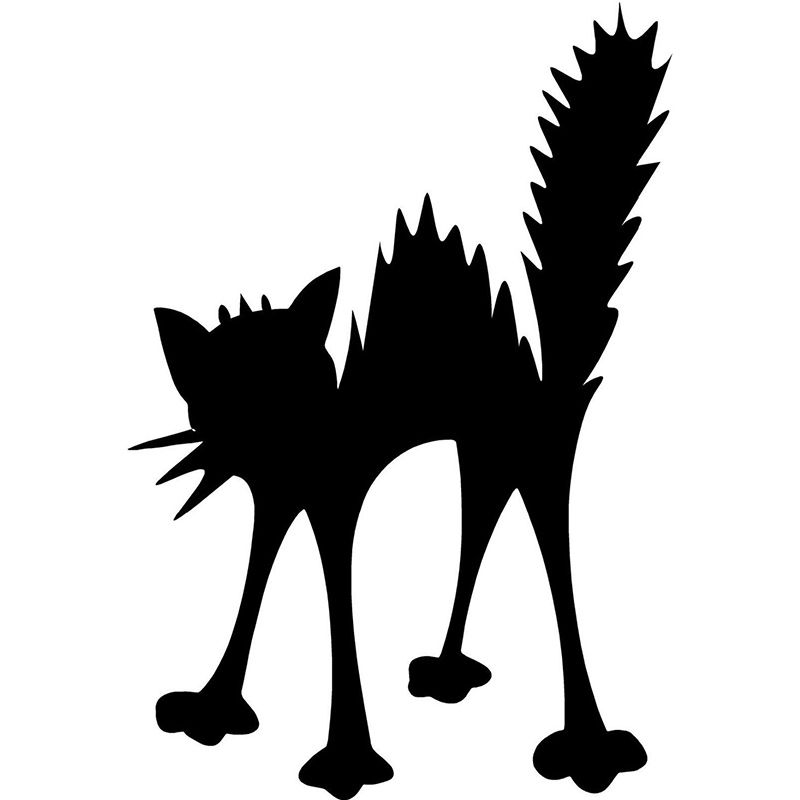 800x800 New Shocked Electric Cat Car Window Sticker Vinyl Decal Funny