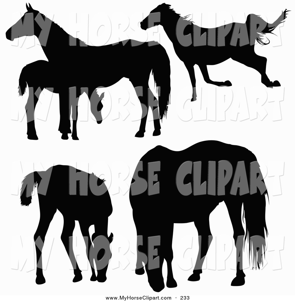 1024x1044 Foal Clipart