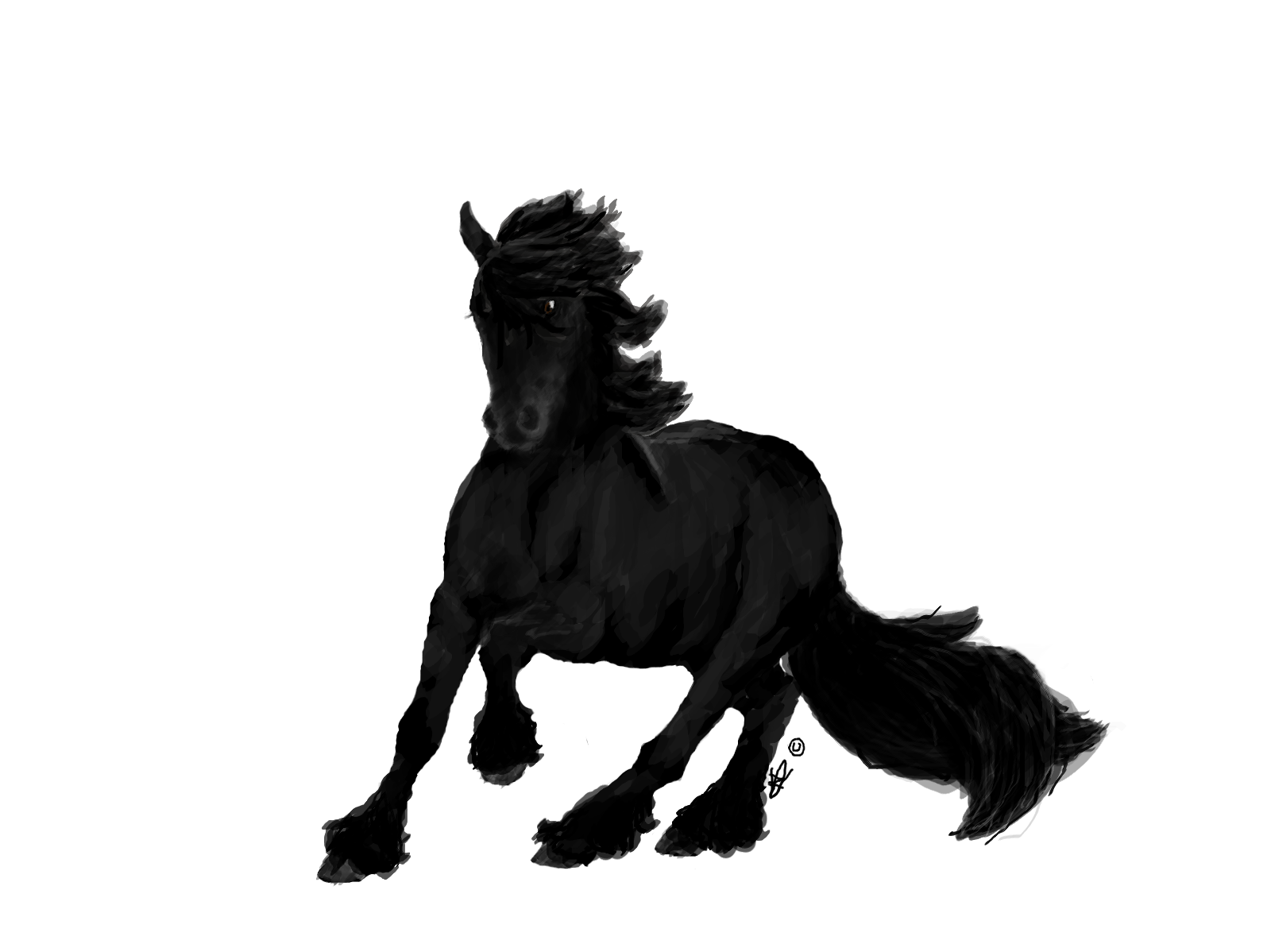 1600x1198 Friesian Horse By Nikty