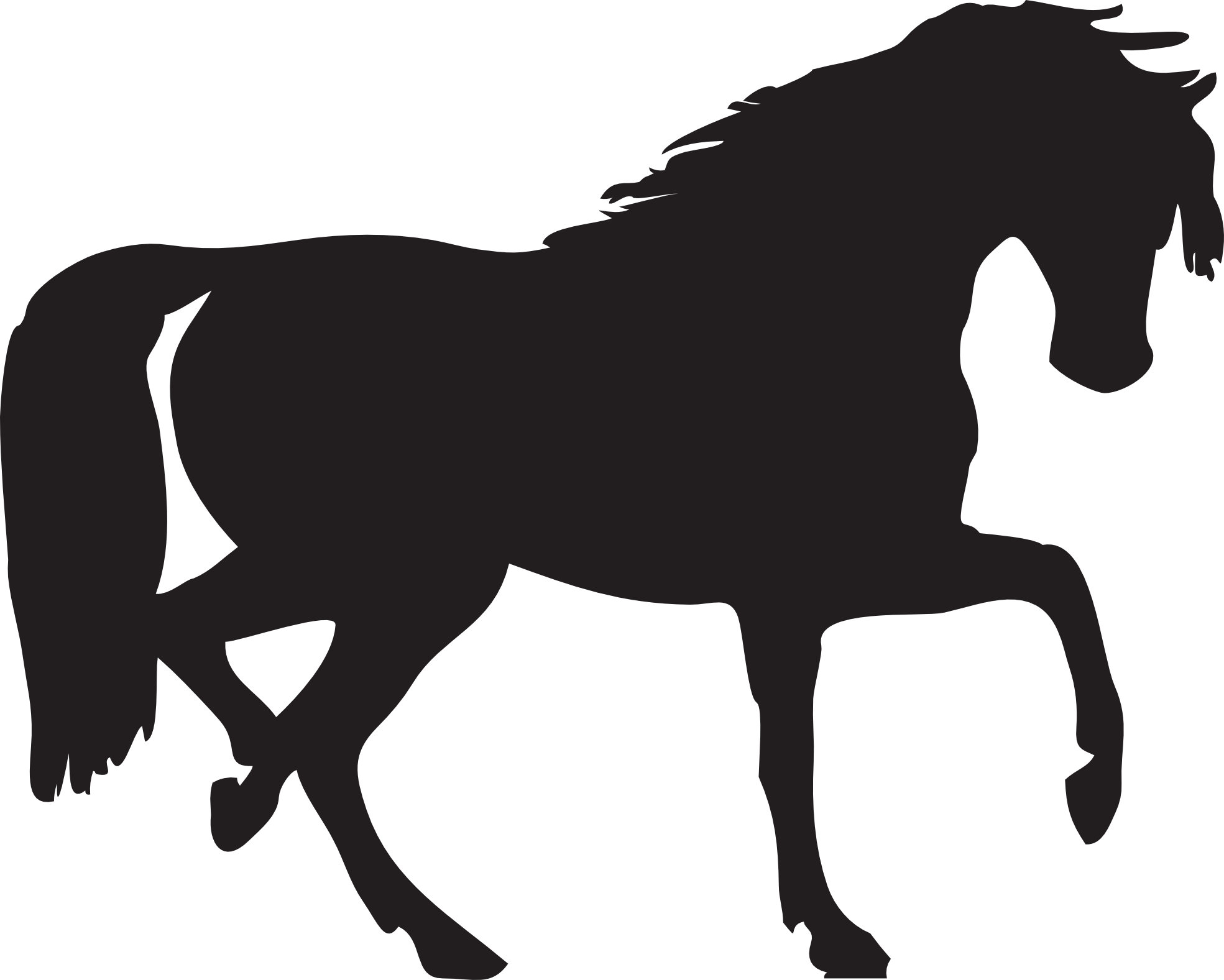 1969x1577 Horse Silhouette Two Isolated Stock Photo By