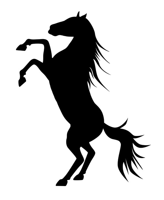 573x700 Rearing Up Graceful Black Silhouette Horse, Vector Against White