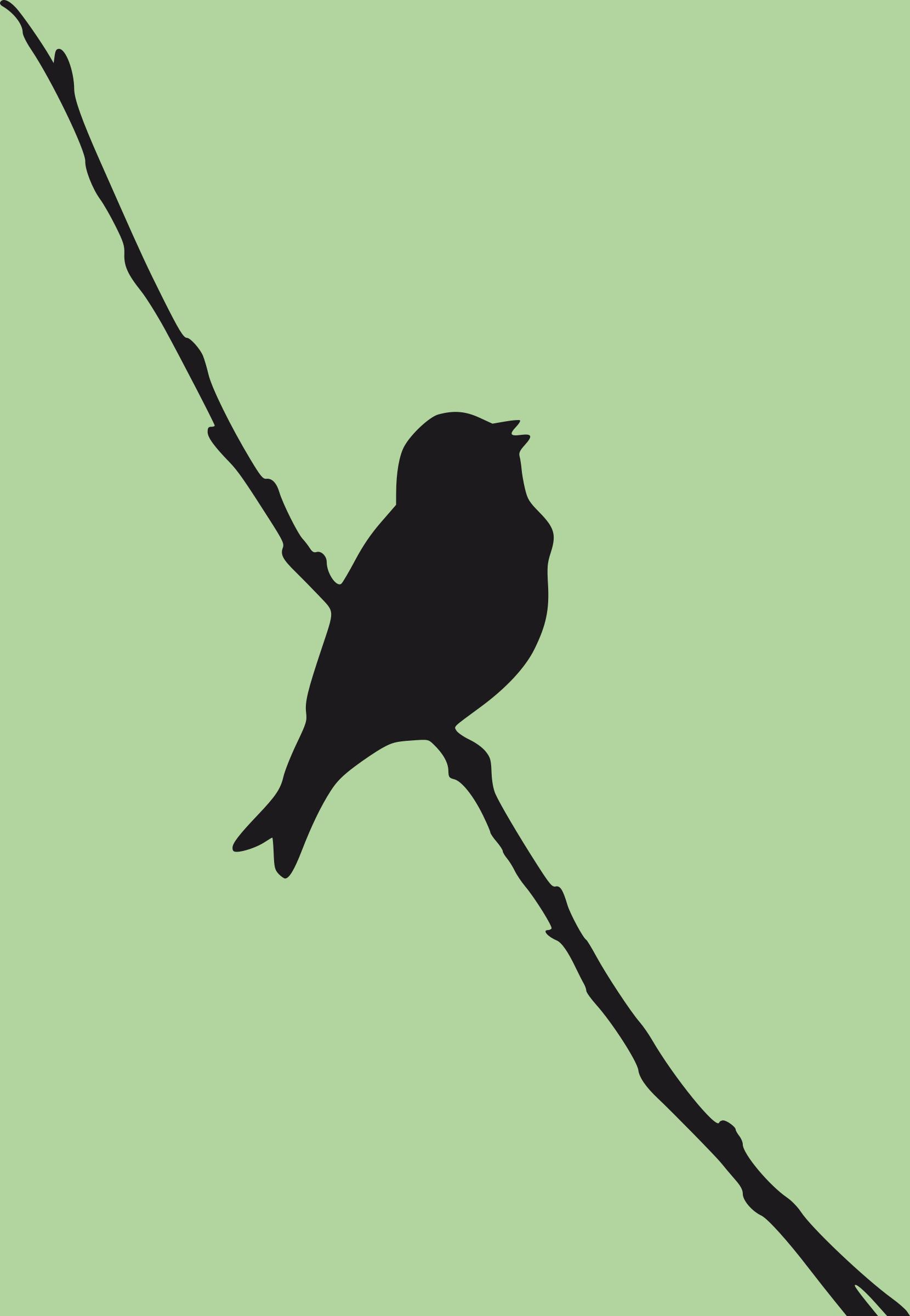 1660x2400 Free Bird Icons Png, Bird Images