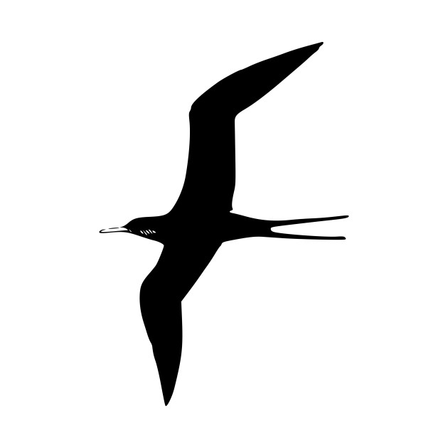 630x630 Limited Edition. Exclusive Frigate Bird