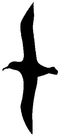 200x440 Seabird Silhouettes