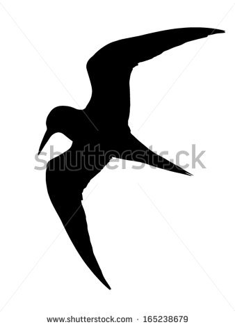 338x470 Tern Clipart Silhouette