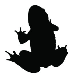 270x270 Silhouette Clipart Frog Many Interesting Cliparts