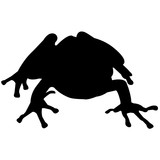 160x160 Tree Frog Silhouette Vector Graphics Stock Image And Royalty Free