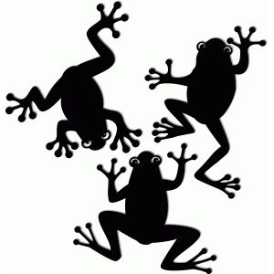 300x300 Image Result For Silhouette Frog Plasma Frogs