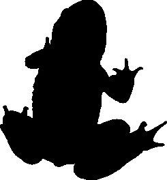 245x264 Tree Frog Silhouette Car Decal Sticker Ebay