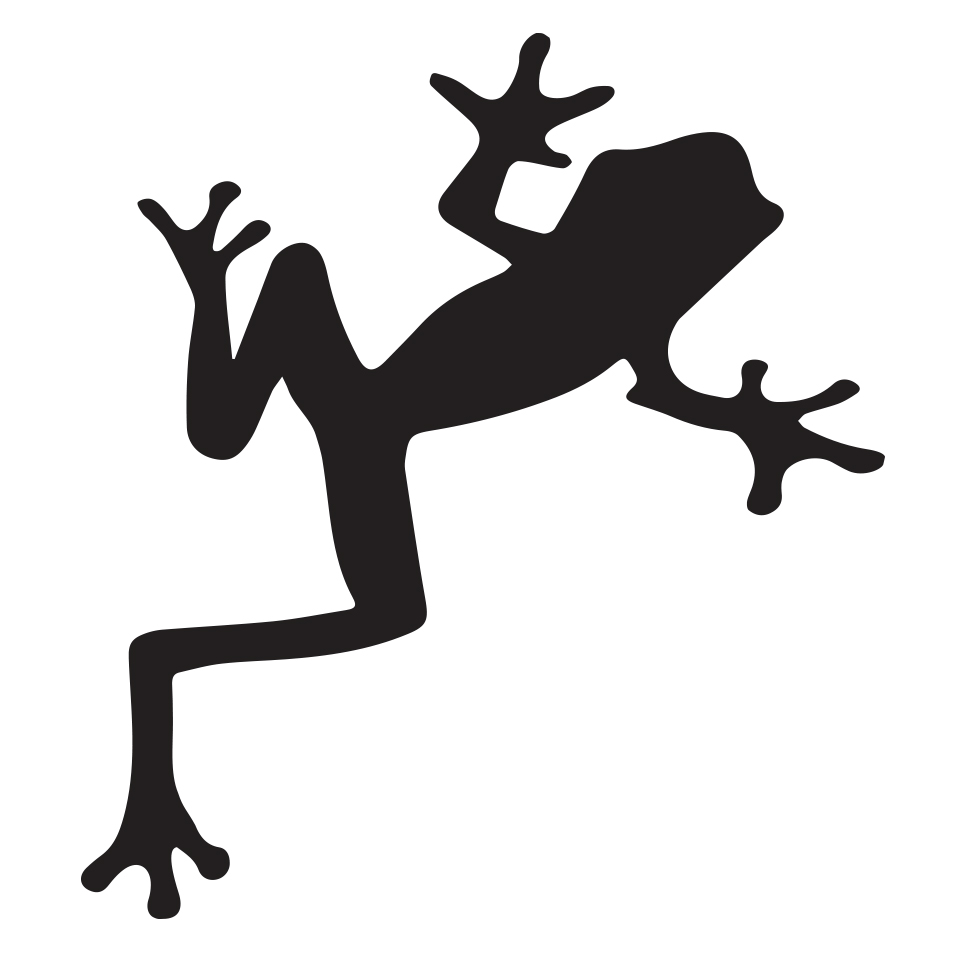 960x960 The Story Of The Frog Klinggruppen
