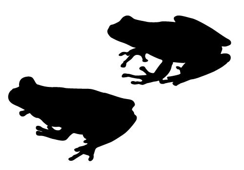 500x350 Free Frog Silhouettes Vector Illustration Ampfrog Clipart