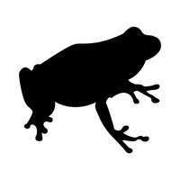 200x200 Black Outline Outlines Contour Contours Stencil Stencils