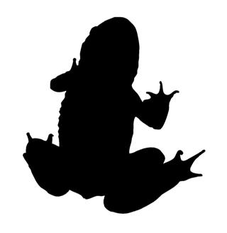 320x328 Frog Silhouette 2 Decal Sticker