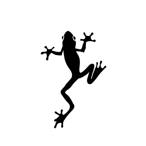 500x500 Hylidae Tattoo