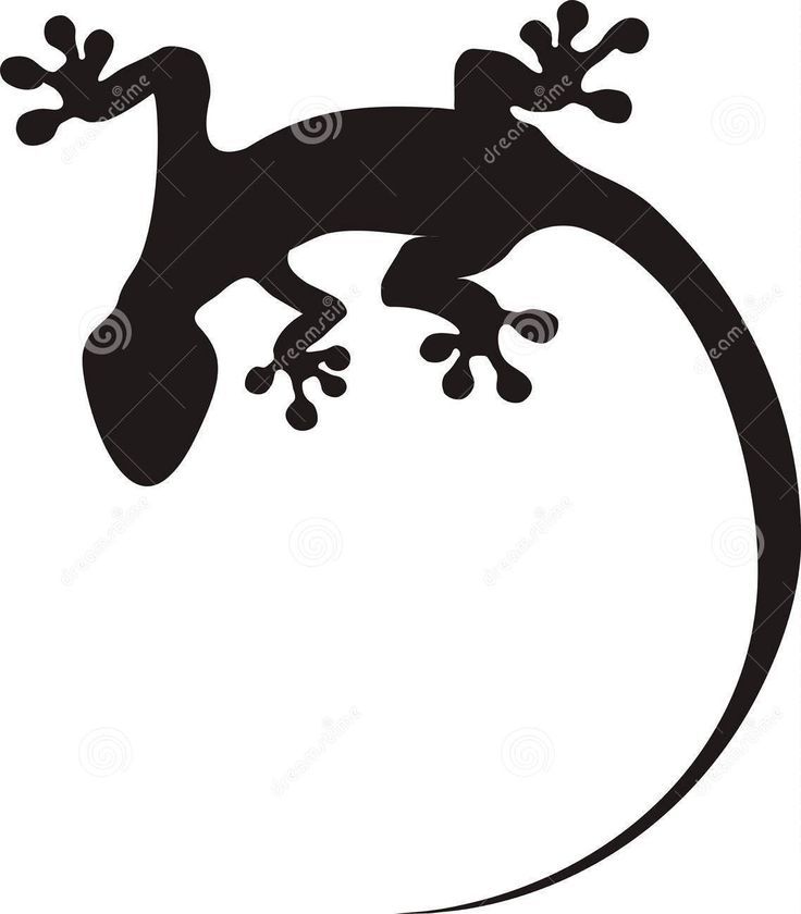 736x840 Lizard Tattoos Designs And Ideas Page 44 Tattoo