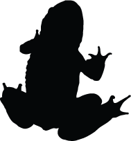 189x204 Frog Silhouettes Silhouettes Of Frog Free