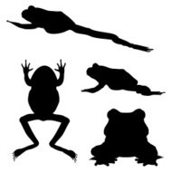 190x190 Collection Of Silhouette Frog Logo In Circle Premium Clipart