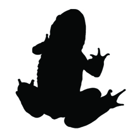 270x270 Silhouette Clipart Frog'06991