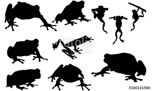 500x300 Tree Frog Silhouette Vector Graphics Stock Image And Royalty Free