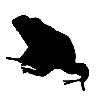 340x340 Free Silhouette Vector Frog, An Illustration