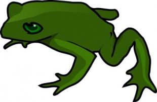 310x203 Frog Clip Art Illustration Free Vector Free Vectors Ui Download