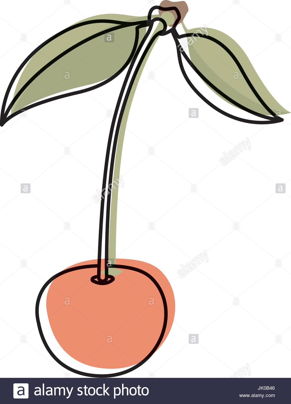 1001x1390 White Background Watercolor Silhouette Of Cherry Fruit