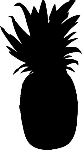 262x478 Pineapple Fruit Silhouette