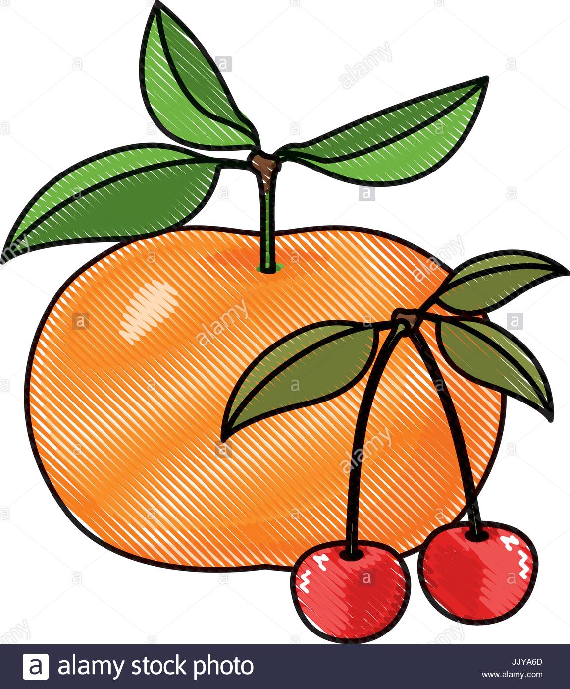 1151x1390 Colored Crayon Silhouette Set Of Fruits Tangerine And Cherries