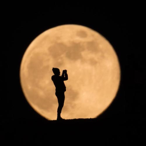 500x500 Full Moon Tour