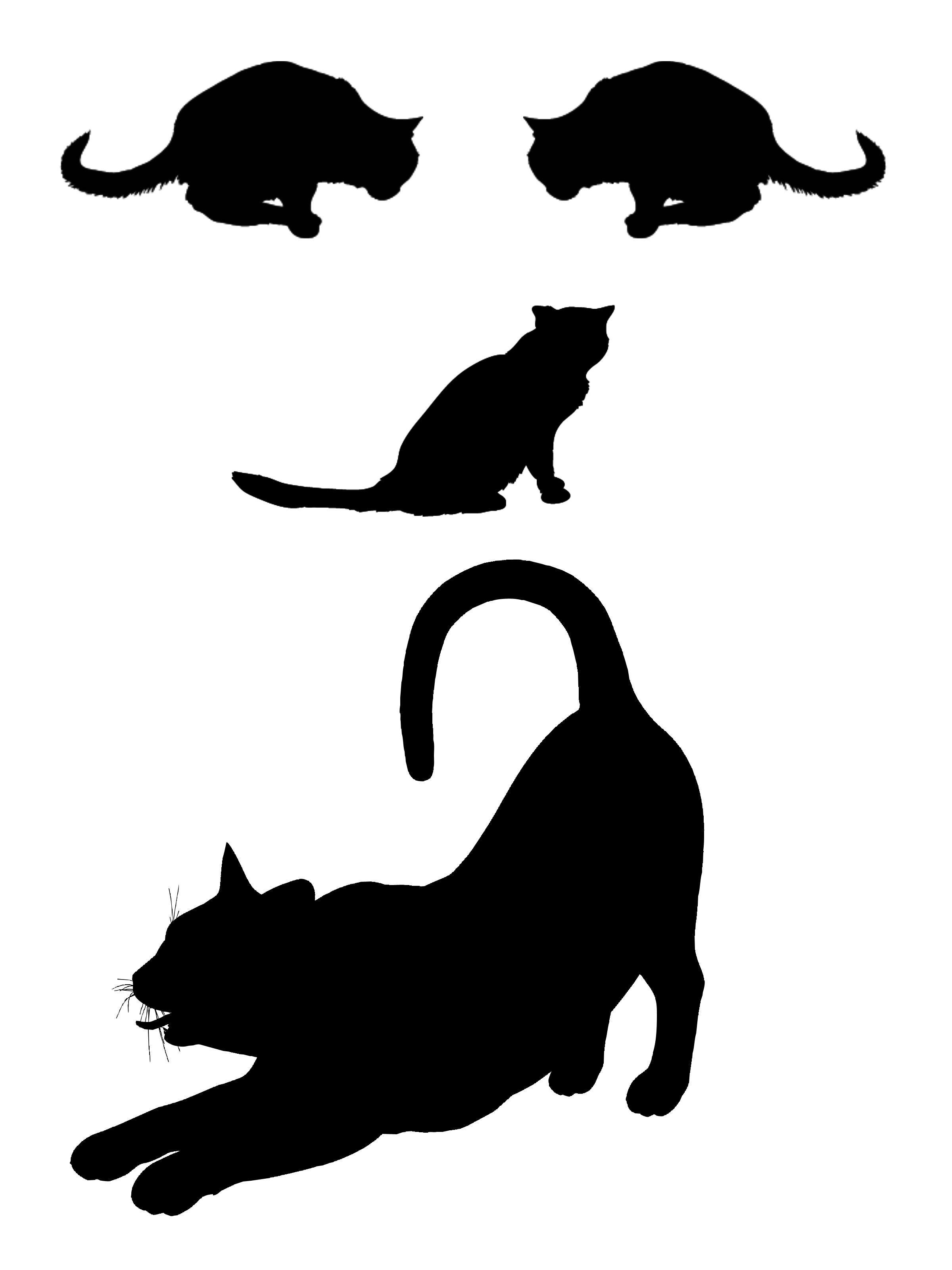 2400x3200 Funny Cats Face