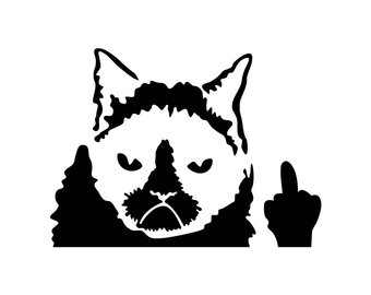 340x270 Funny Cat Svg Etsy