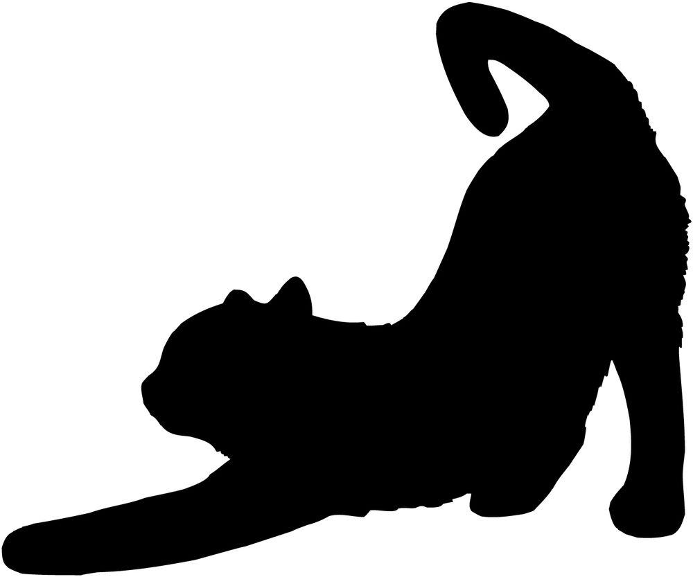 1000x833 Sitting Black Cat Silhouette