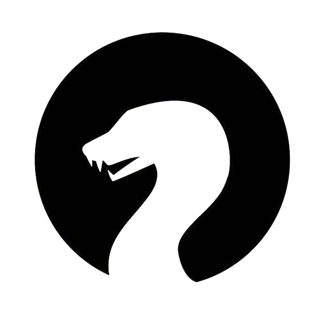 640x640 16cm16cm Snake Silhouette Fashion Funny Car Sticker Vinyl Decals