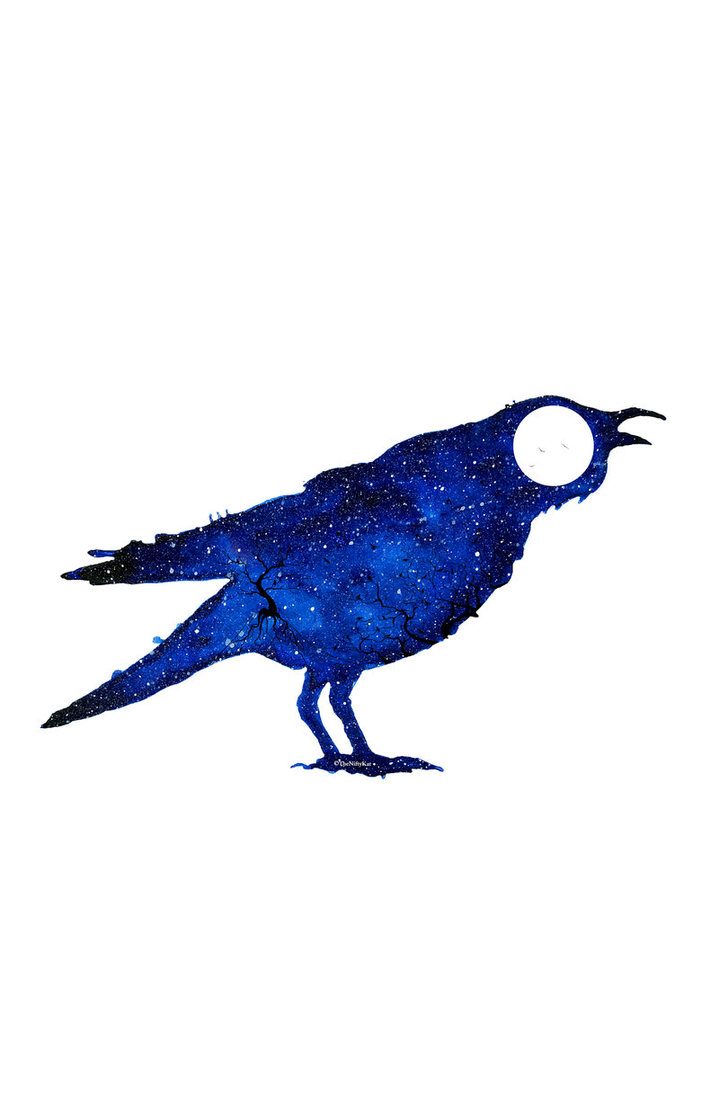 719x1111 Crow Galaxy Silhouette By Theniftykat