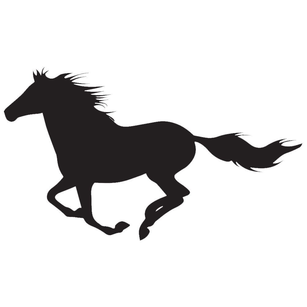 1002x1002 Horse Silhouette Vinyl Sticker Car Decal