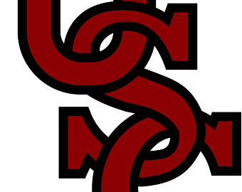 340x270 Gamecocks Stencil Etsy