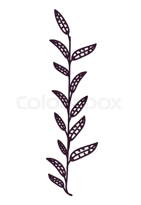 549x800 Leaf Floral Garden And Silhouette Icon. Decoration And Ornament