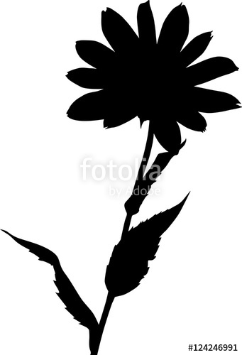 341x500 Garden Black Large Flower Silhouette On White Stock Image
