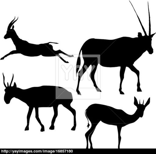 512x506 Set Of The Silhouettes Of The Gazelle Vector