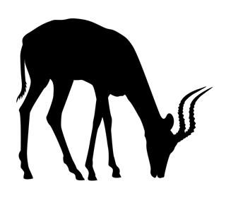 320x280 Antelope Silhouette 5 Decal Sticker