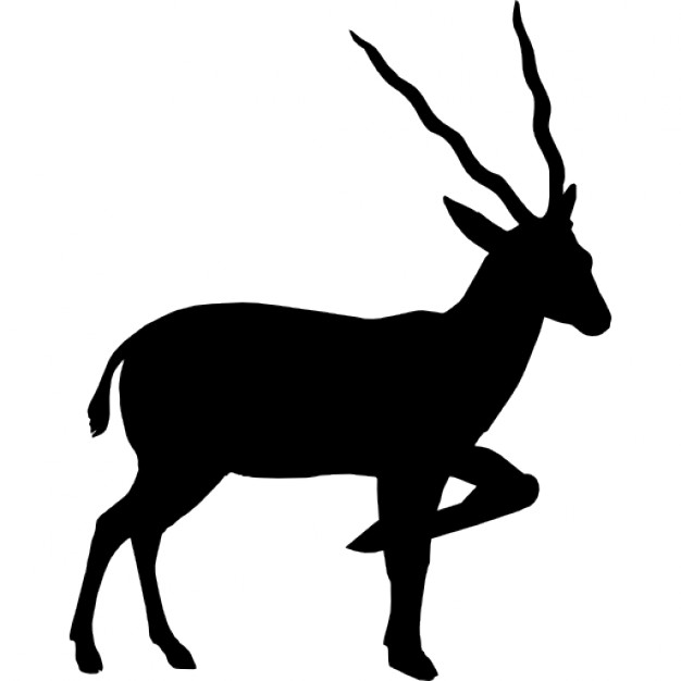 626x626 Antelope Silhouette From Side View Icons Free Download