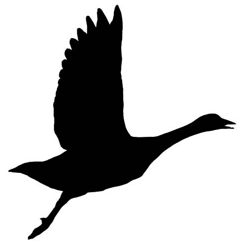 489x498 Goose Silhouette