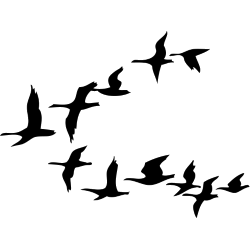 500x500 Flying Geese Silhouette Tattumi