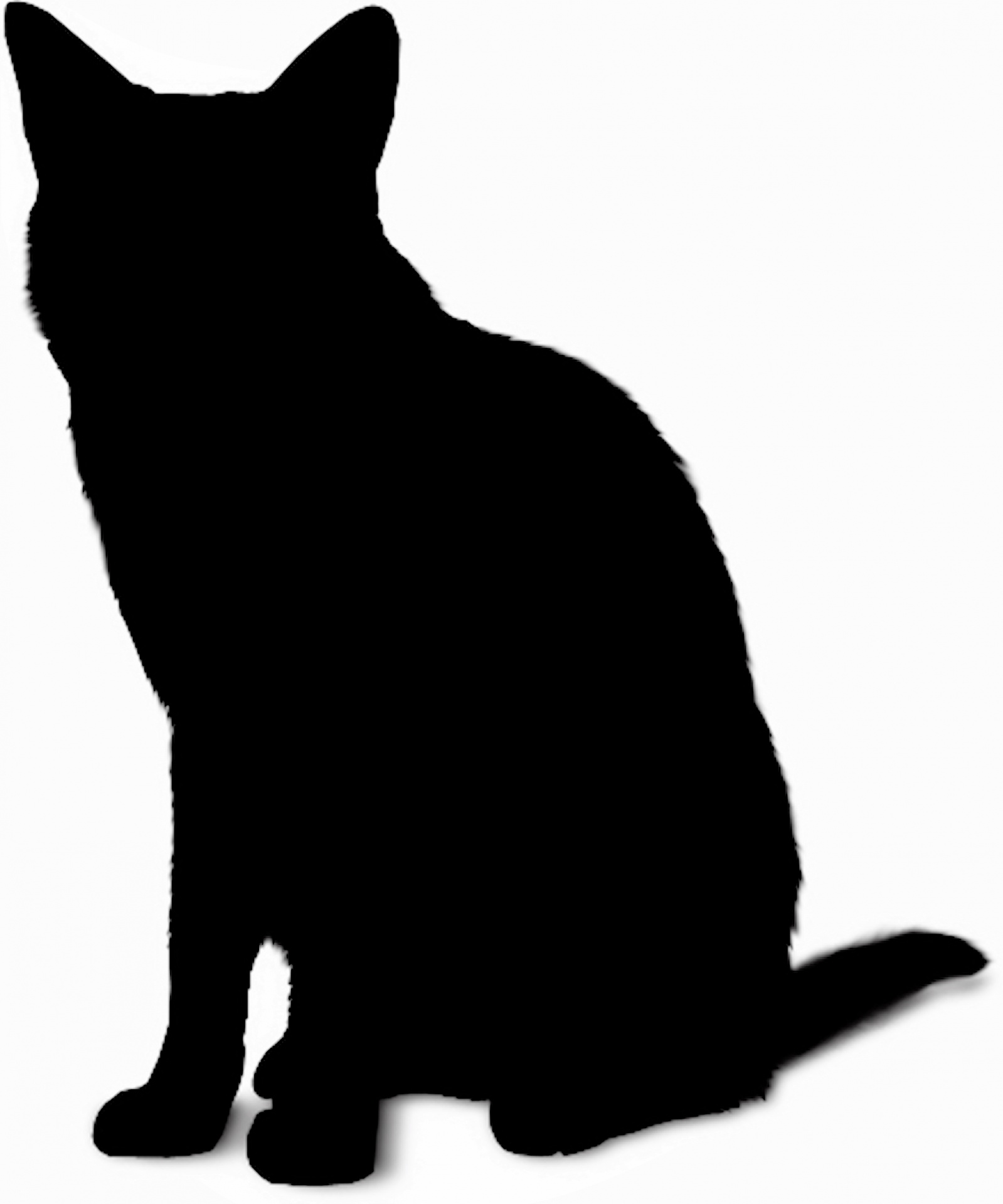 1599x1920 Silhouette Cat Free Stock Photo