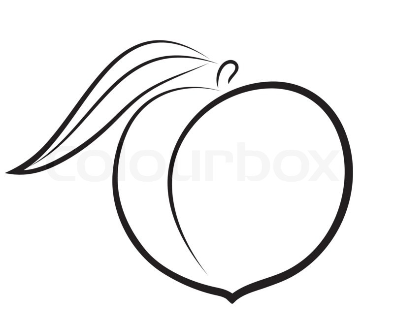 800x660 Outline Of Peaches Clipart