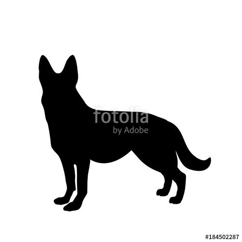 500x500 Black Silhouette Of German Shepherd Dog Standig Sideway Stock